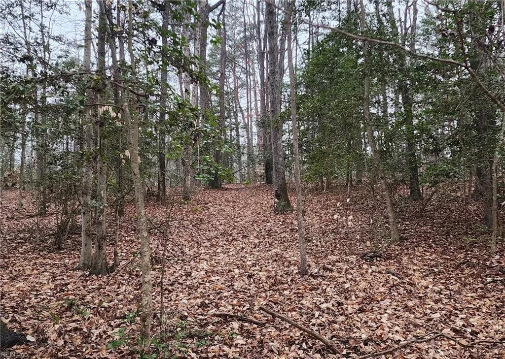 5.23Ac Courthouse RD, PROVIDENCEFORGE VA 23140 - Photo 2