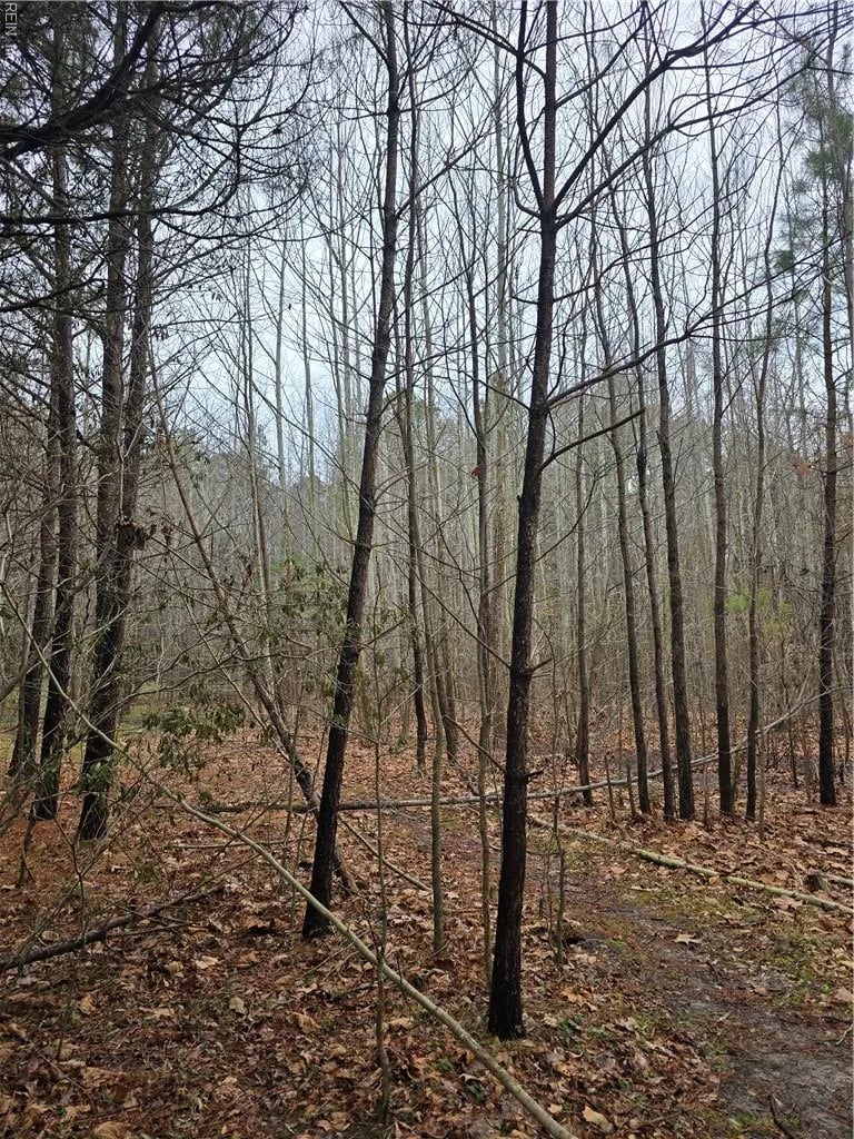 4200 John (304362300) ST, SUFFOLK VA 23435