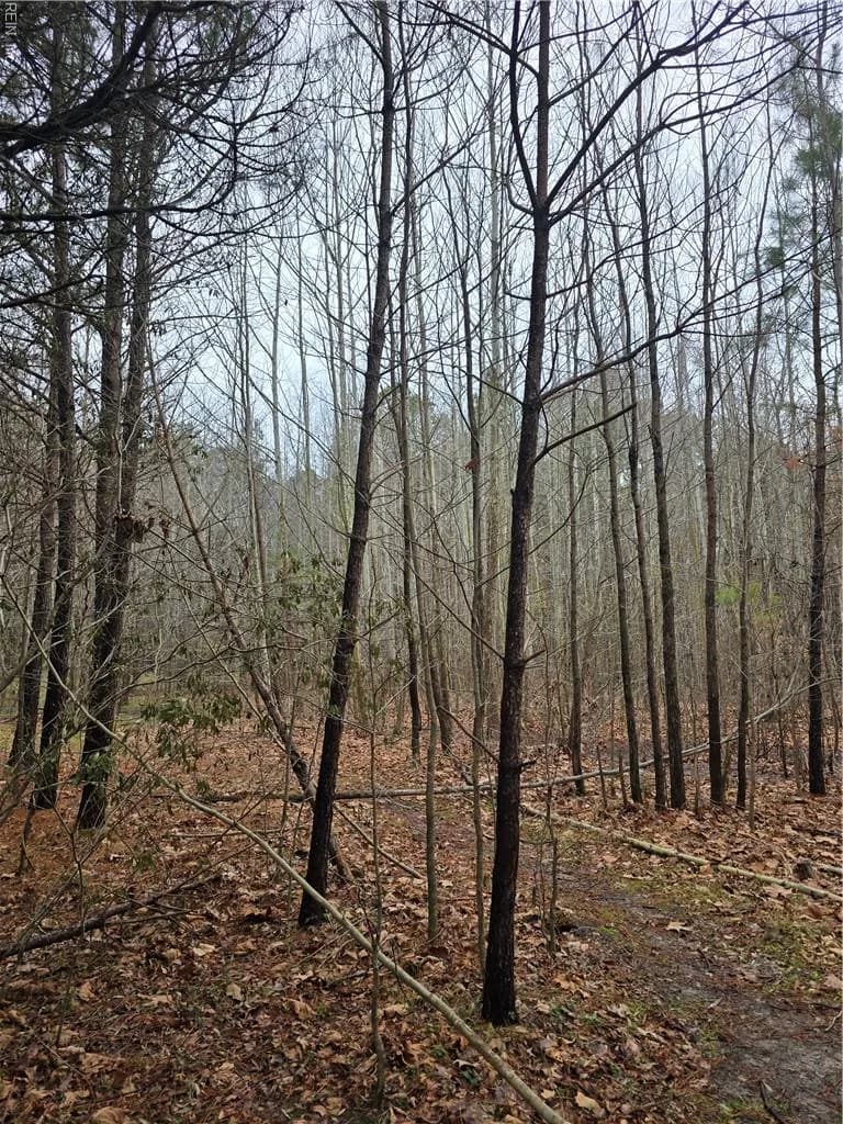 4200 John (304362300) ST, SUFFOLK VA 23435 - Photo 2