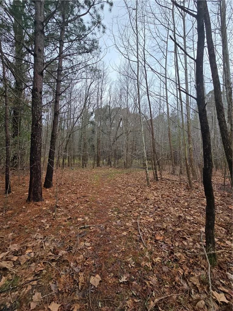 4200 John (304362300) ST, SUFFOLK VA 23435 - Photo 4