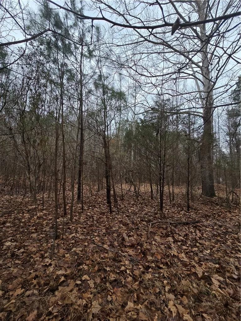 4200 John (304362300) ST, SUFFOLK VA 23435 - Photo 5