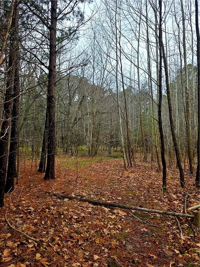 4200 John (301728600) ST, SUFFOLK VA 23435