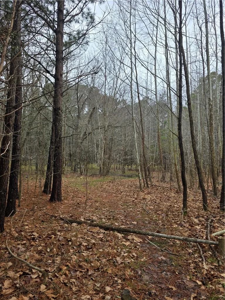 4200 John (301728600) ST, SUFFOLK VA 23435 - Photo 2