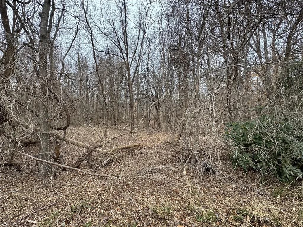 240 Dozier RD, NEWPORTNEWS VA 23603 - Photo 2
