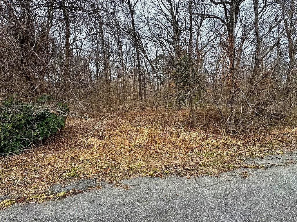 240 Dozier RD, NEWPORT NEWS VA 23603 - Photo 4
