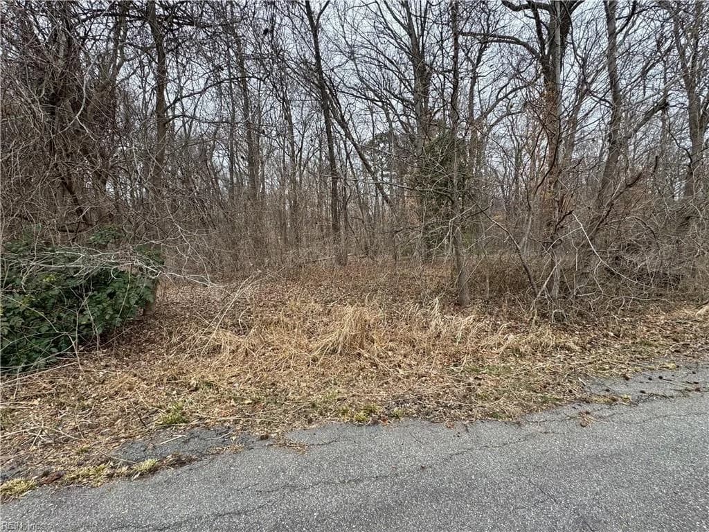 240 Dozier RD, NEWPORTNEWS VA 23603 - Photo 4
