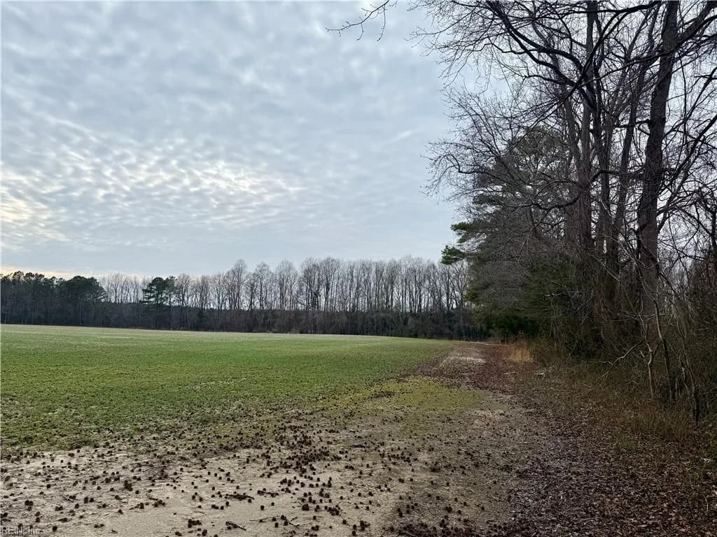 108 AC New & Seacock Chapel RD, IVOR VA 23866 - Photo 3