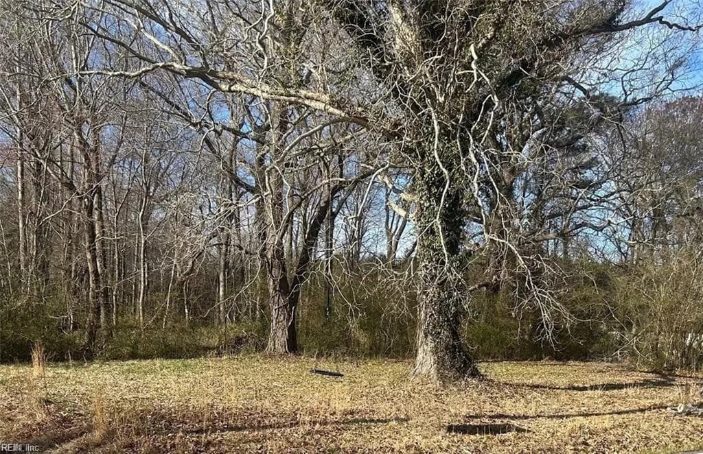 3725 Cornland RD, CHESAPEAKE VA 23320 - Photo 3