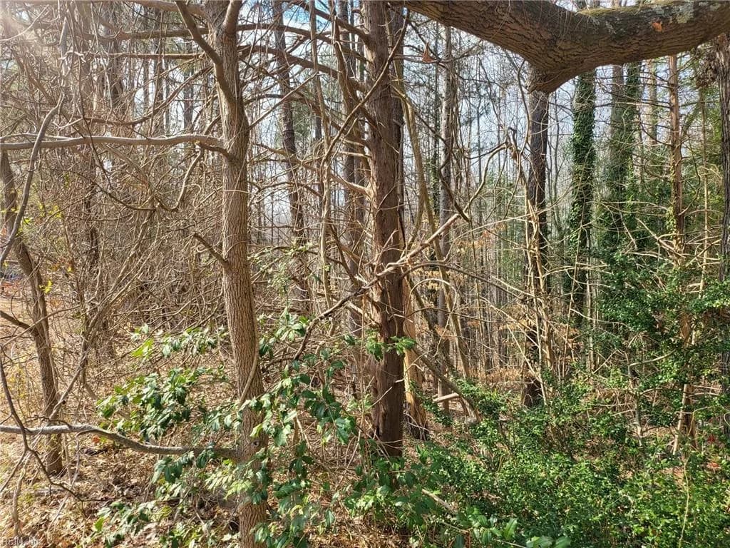 4712 Monaco DR, SANDSTON VA 23150 - Photo 3
