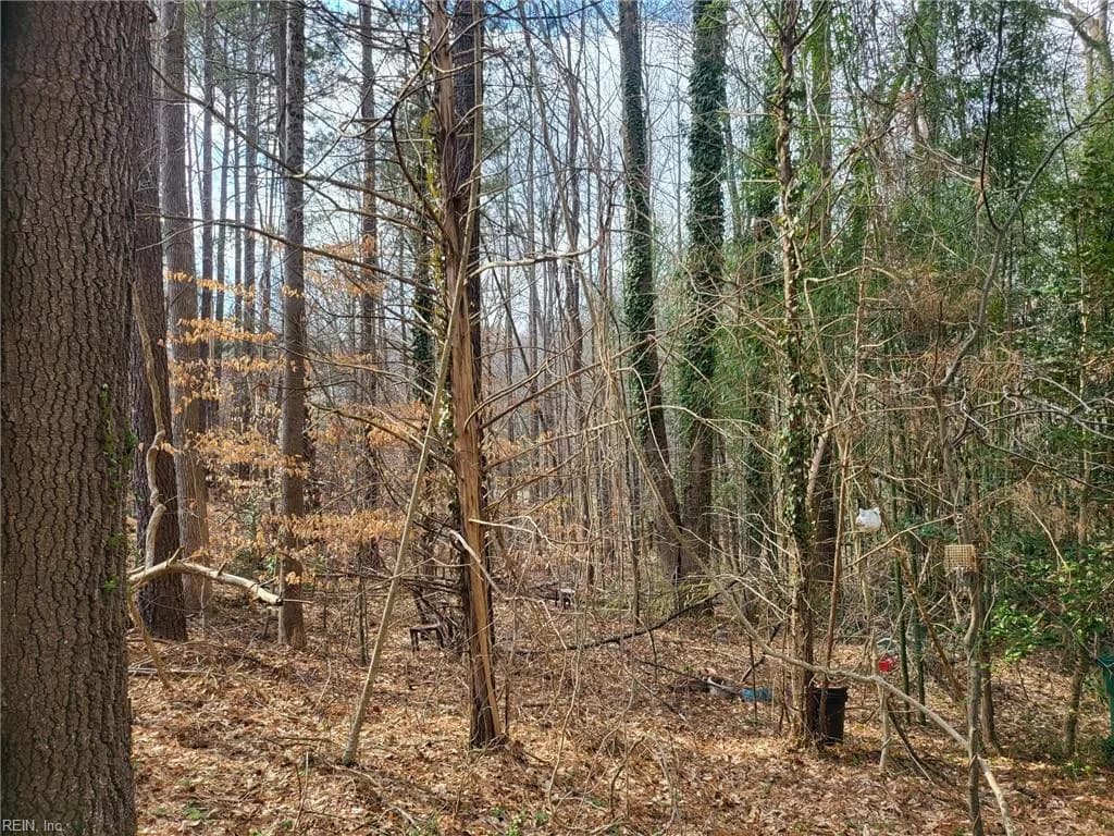 4712 Monaco DR, SANDSTON VA 23150 - Photo 4