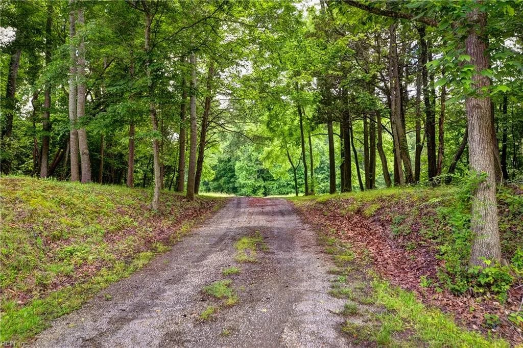 631 Rocky Bottom RD, SPRINGGROVE VA 23881 - Main photo