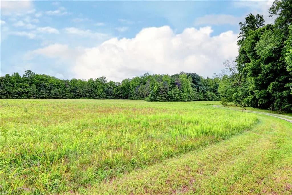 631 Rocky Bottom RD, SPRINGGROVE VA 23881 - Photo 4