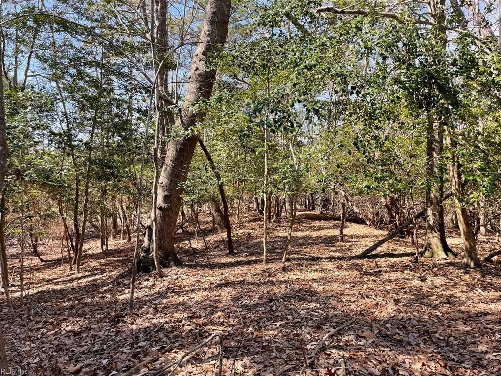 Lot129 Patriots RDG, CARROLLTON VA 23314 - Photo 2