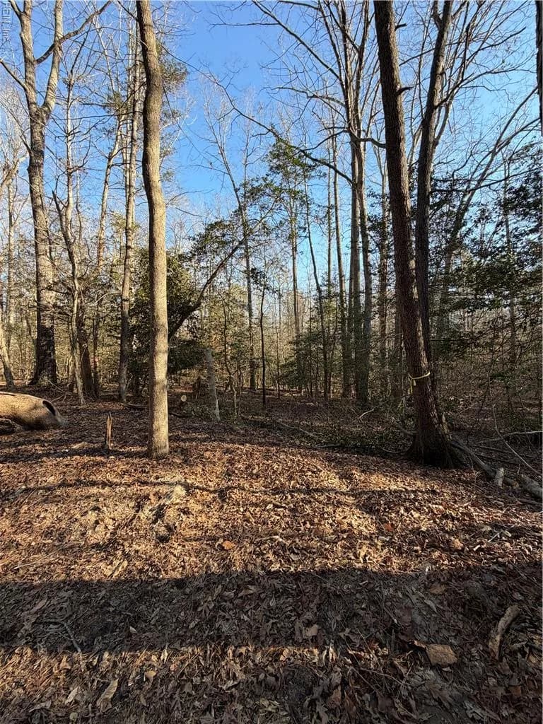 4.68AC King William RD, KINGWILLIAM VA 23086 - Main photo