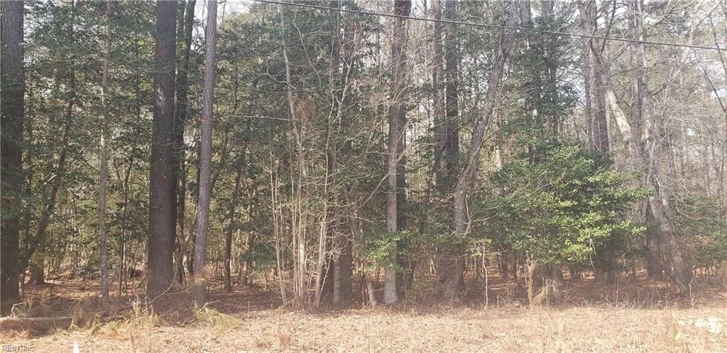 70 Homestead LN, FRANKLIN VA 23851