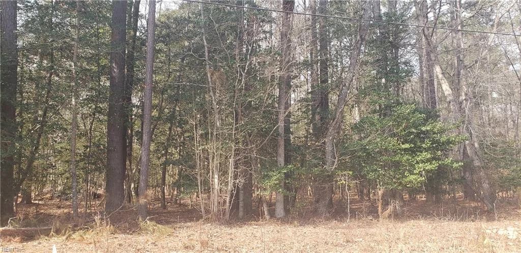 70 Homestead LN, FRANKLIN VA 23851 - Photo 2