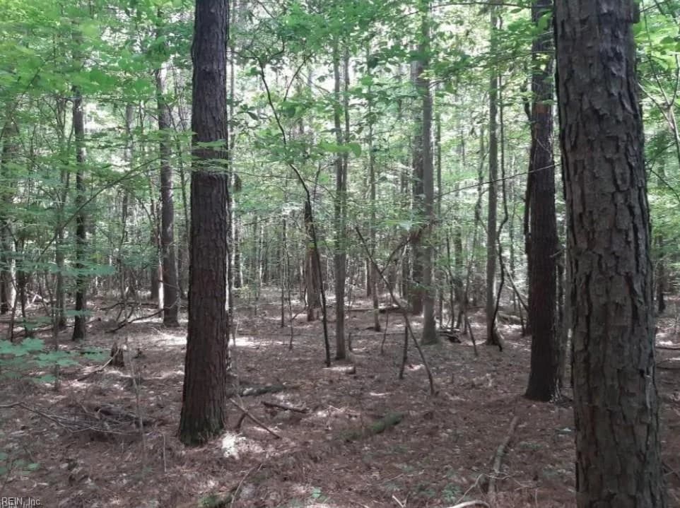 6636 Blackwater RD, VIRGINIABEACH VA 23457 - Photo 3