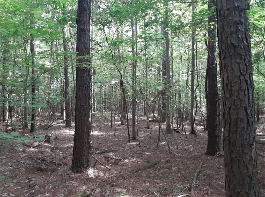 6664 Blackwater RD, VIRGINIABEACH VA 23457 - Photo 3
