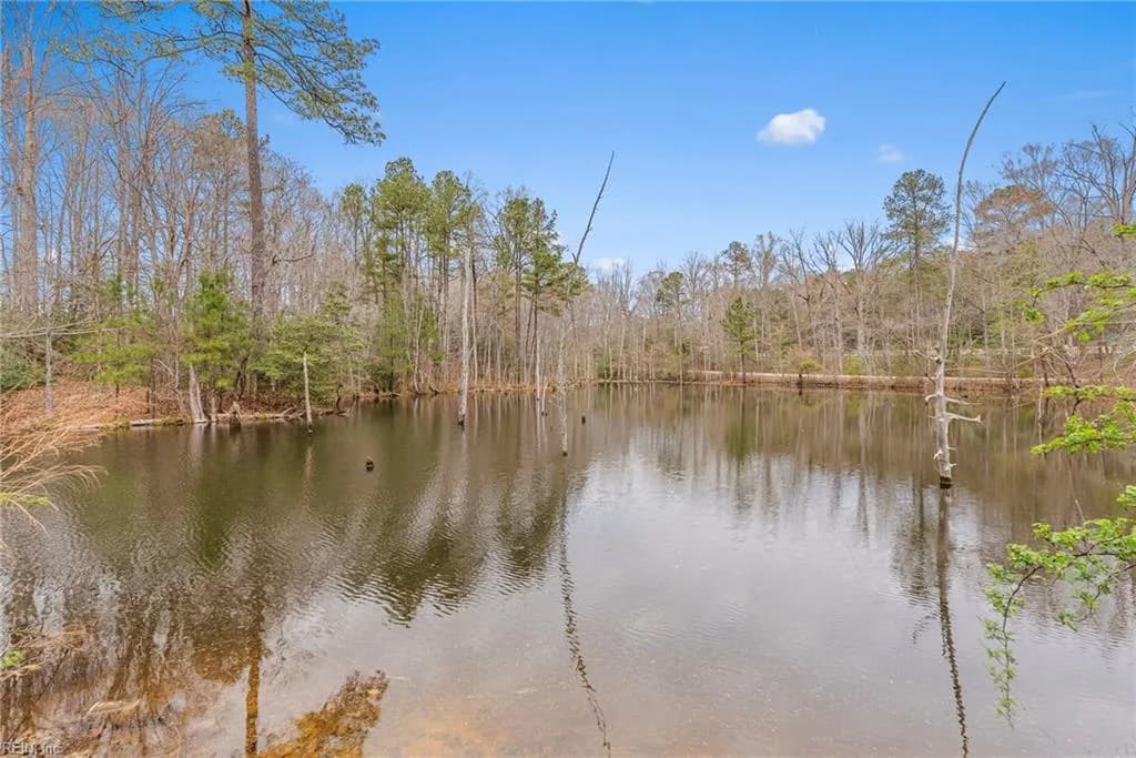 4861 Rochambeau DR, WILLIAMSBURG VA 23188 - Photo 5