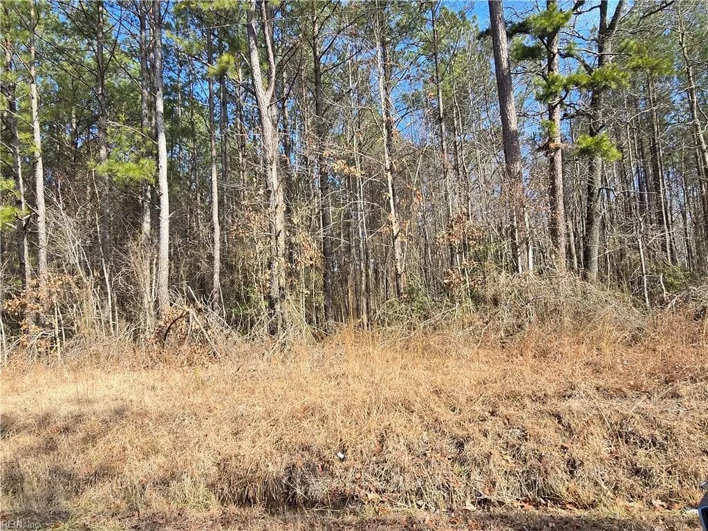 1 AC Warrique RD, IVOR VA 23866 - Main photo