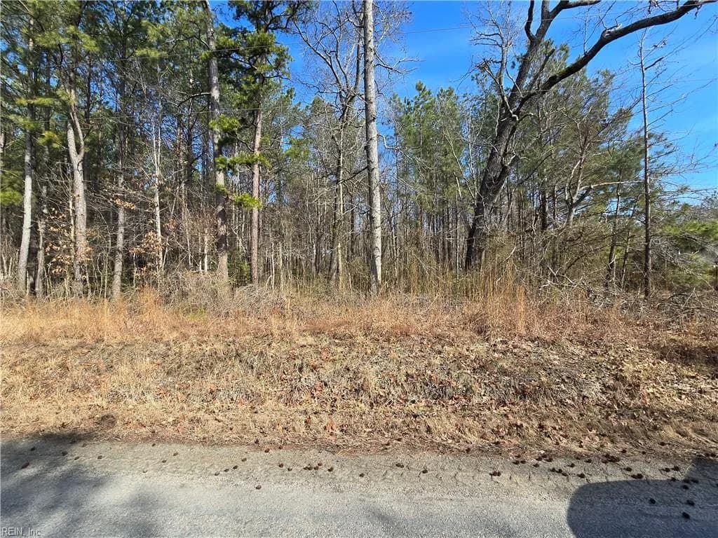 1 AC Warrique RD, IVOR VA 23866 - Photo 3
