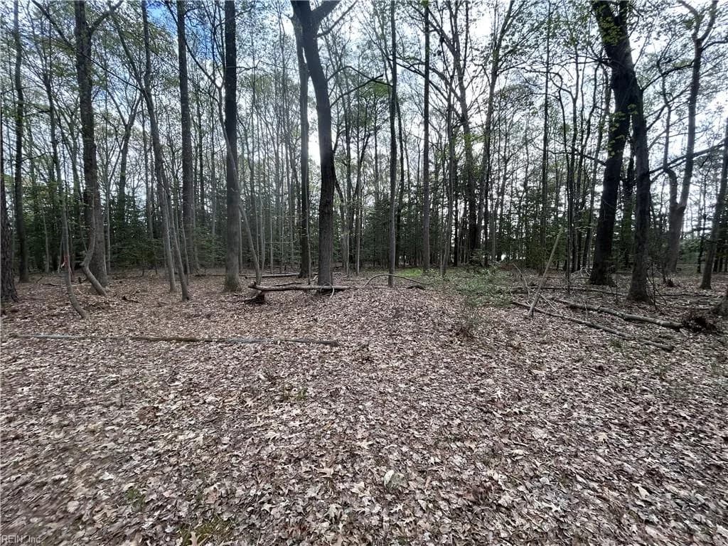 0.92AC Fenwood CT, SMITHFIELD VA 23430 - Photo 4