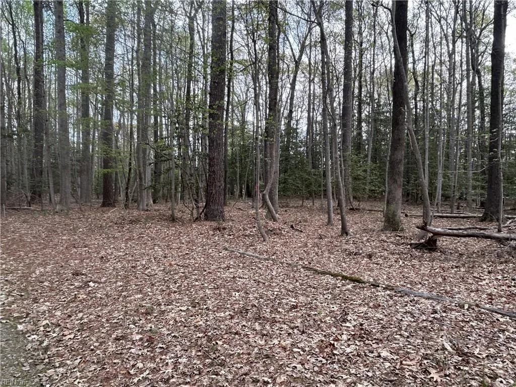 0.92AC Fenwood CT, SMITHFIELD VA 23430 - Photo 5