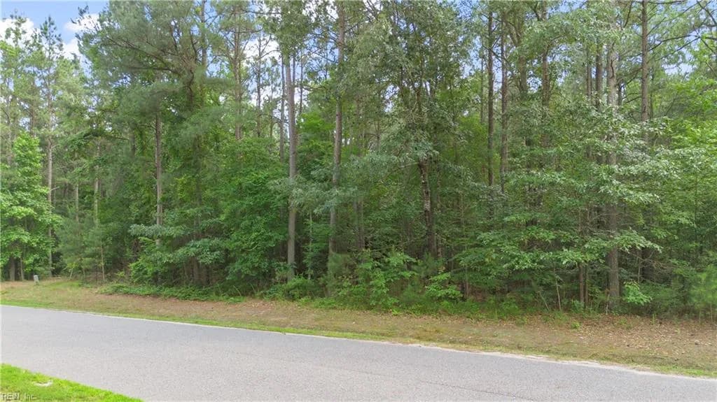5.1+AC Plantation PL, LITTLEPLYMOUTH VA 23091 - Photo 2