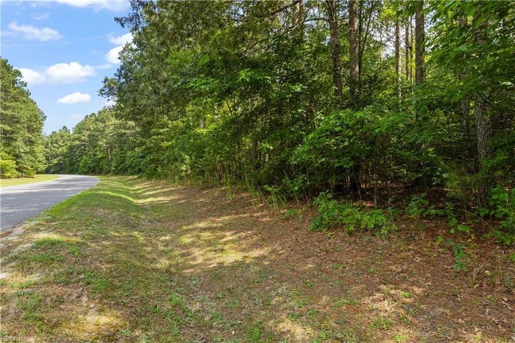 5.1+AC Plantation PL, LITTLEPLYMOUTH VA 23091 - Photo 3