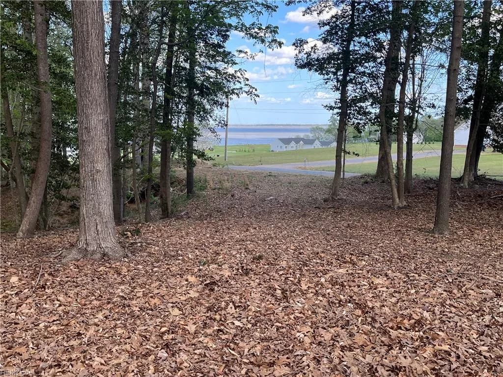 Lot 1 Cobham Wharf RD, SURRY VA 23883 - Main photo