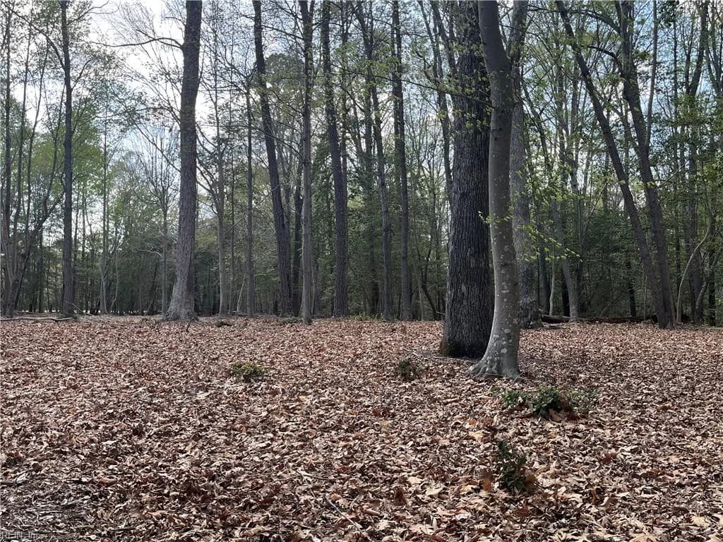 Lot 1 Cobham Wharf RD, SURRY VA 23883 - Photo 3