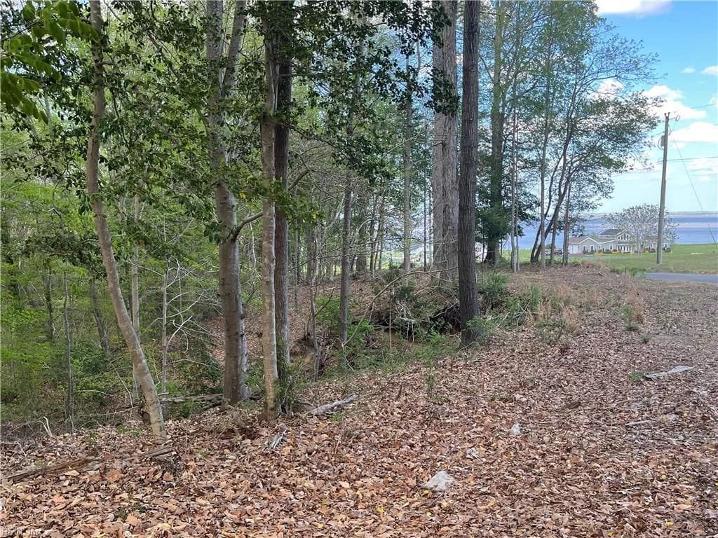 Lot 1 Cobham Wharf RD, SURRY VA 23883 - Photo 4