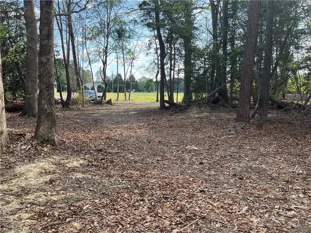 Lot 2 Eagle Lane NONE, SURRY VA 23883 - Main photo