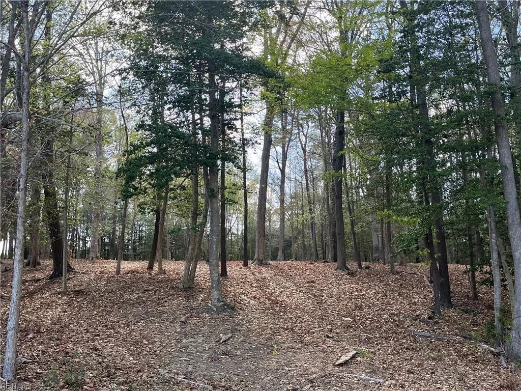 Lot 2 Eagle Lane NONE, SURRY VA 23883 - Photo 3