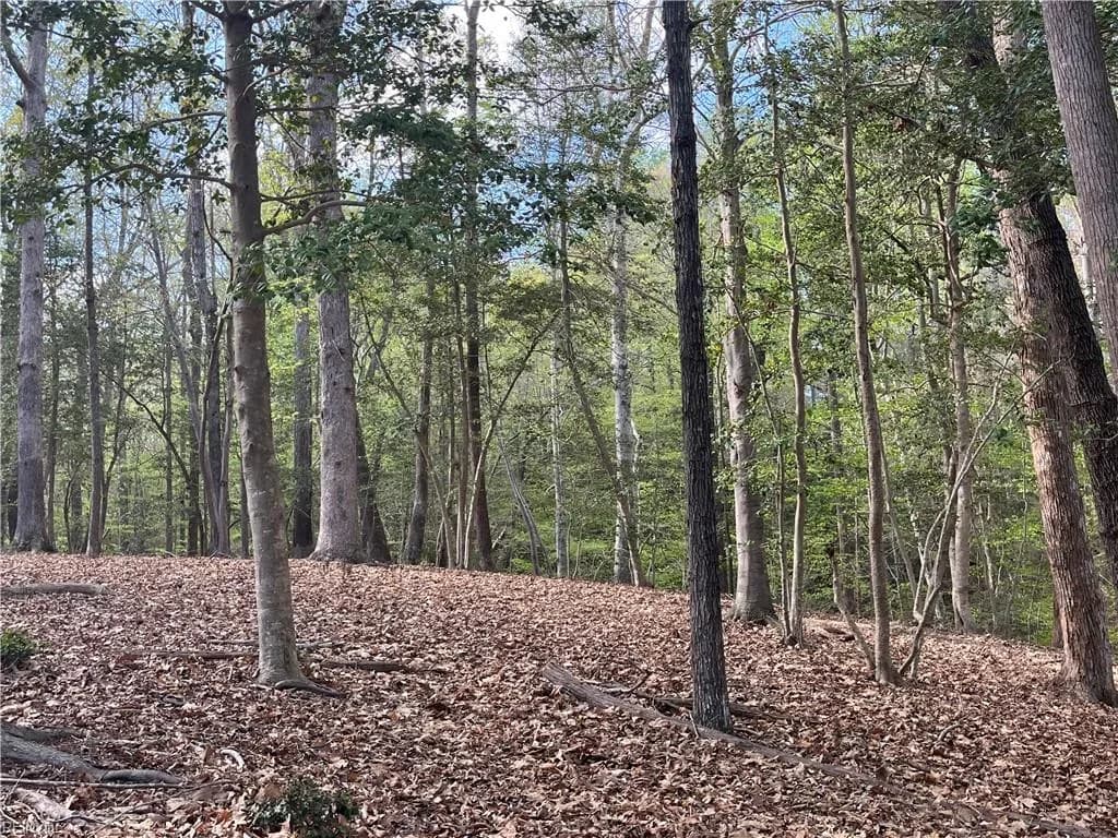 Lot 2 Eagle Lane NONE, SURRY VA 23883 - Photo 4