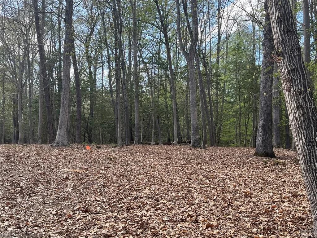 Lot 2 Eagle Lane NONE, SURRY VA 23883 - Photo 5