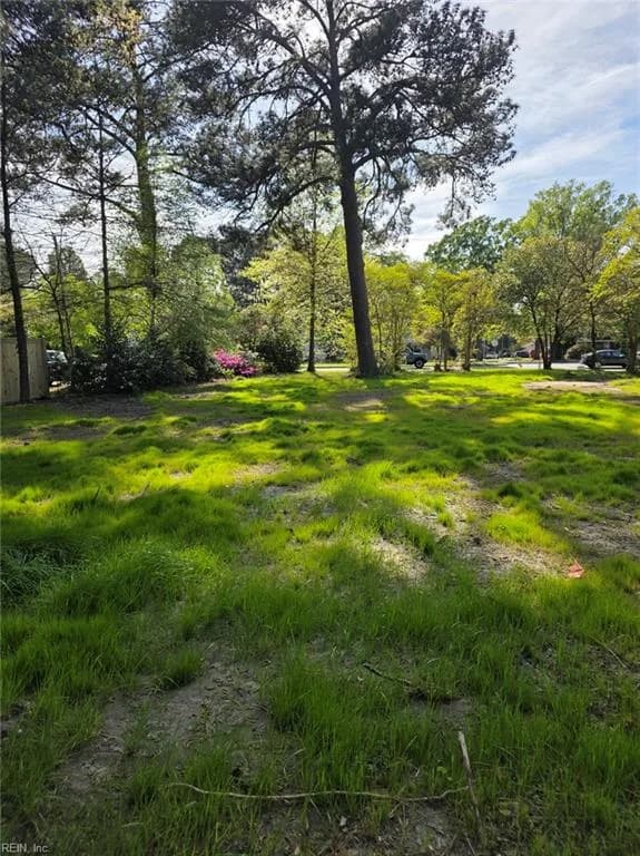 5812 Granby ST, NORFOLK VA 23505 - Photo 4