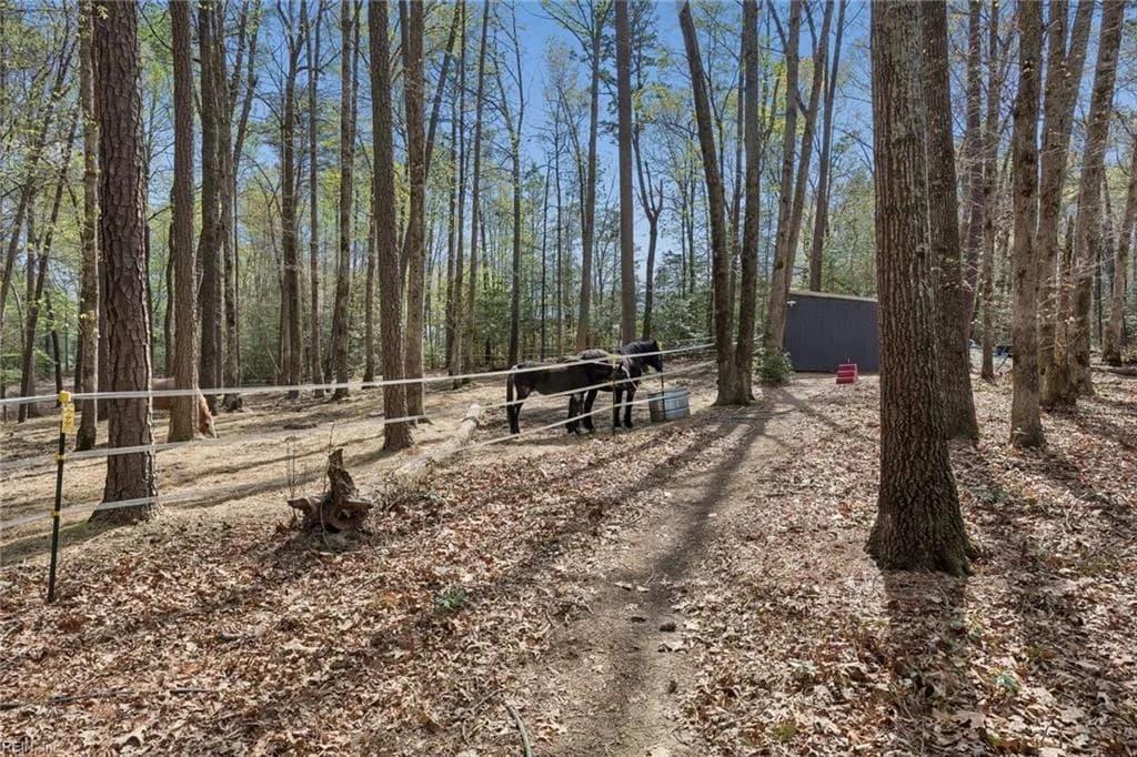 14490 Doctors Creek RD, LANEXA VA 23089 - Photo 5