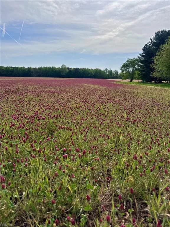 21AC Murphy Mill RD, WINDSOR VA 23487 - Photo 3