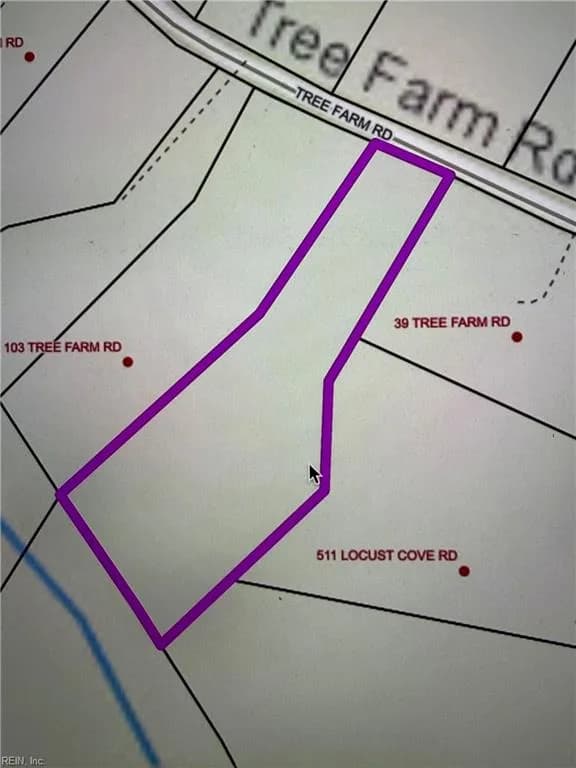 2.47 Ac Tree Farm RD, HEATHSVILLE VA 22473 - Photo 2