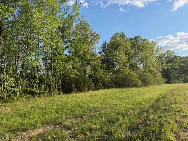 2.41AC Carrsville HWY, CARRSVILLE VA 23315 - Photo 3