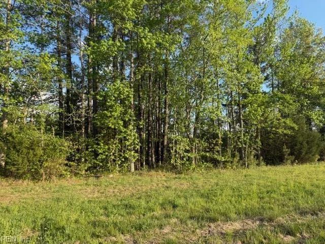 2.41AC Carrsville HWY, CARRSVILLE VA 23315 - Photo 4