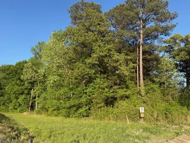 2.41AC Carrsville HWY, CARRSVILLE VA 23315 - Photo 5