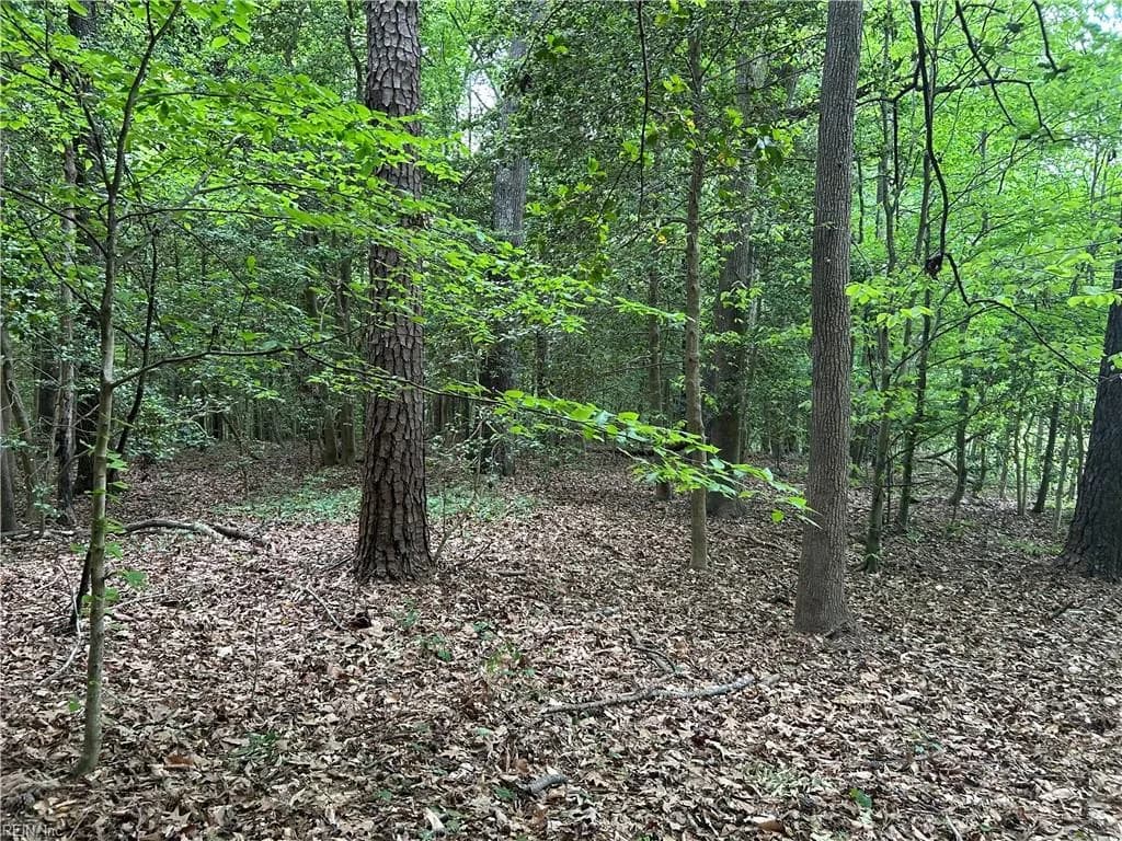 6.57AC Lees Landing LN, SALUDA VA 23149 - Photo 5