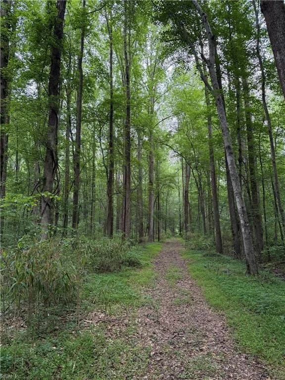 Lot 17 Binford ST, CHESAPEAKE VA 23322 - Photo 2