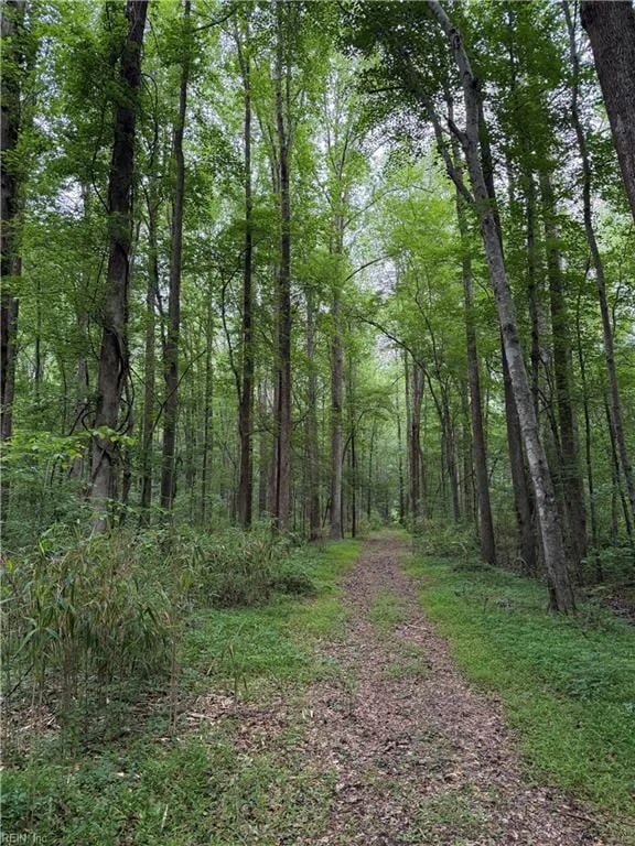 Lot 22 Trinkle ST, Chesapeake — Land and Farms