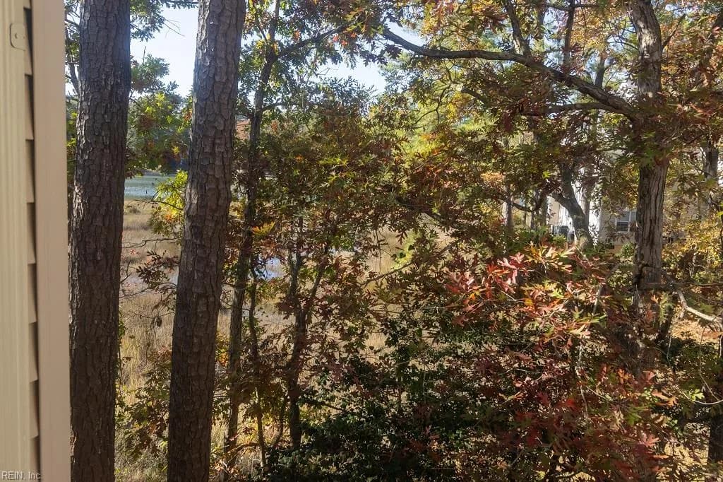 393 River Forest RD, VIRGINIABEACH VA 23454 - Photo 3