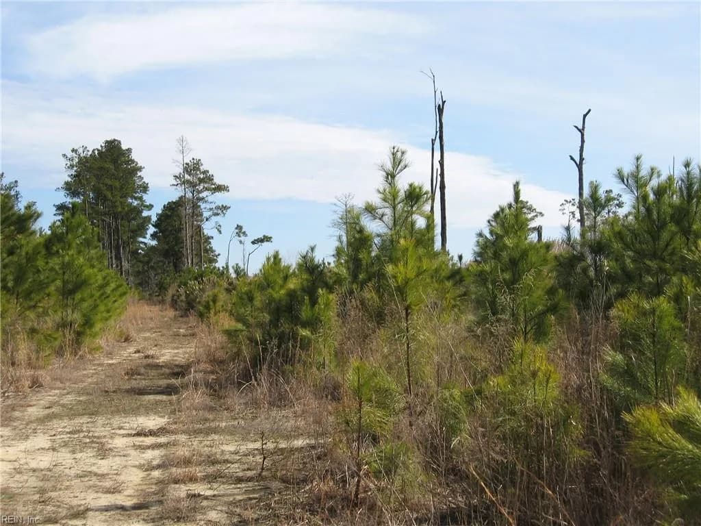 4161 Caratoke HWY, BARCO NC 27917 - Main photo