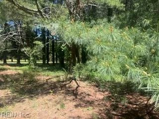 1.1+AC Laurel Haven DR, WICOMICO VA 23184 - Photo 2