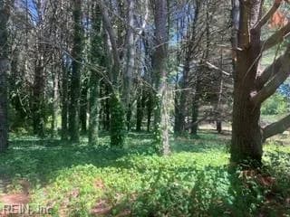1.1+AC Laurel Haven DR, WICOMICO VA 23184 - Photo 4